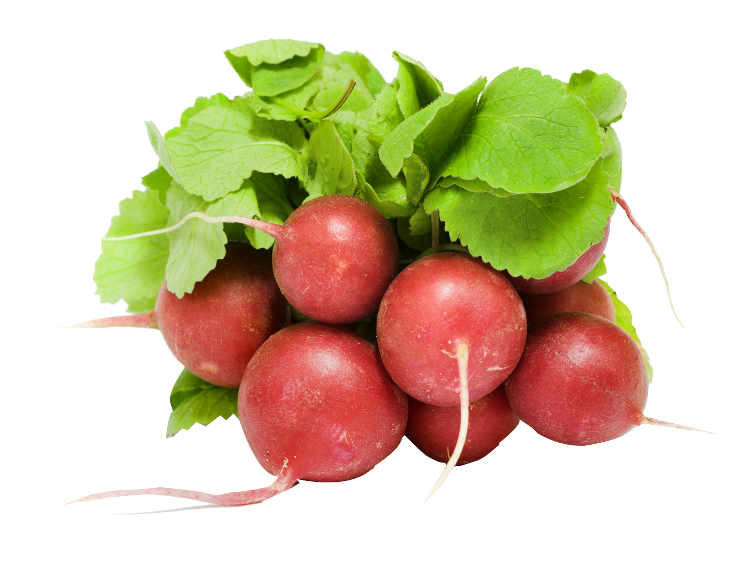 A Bunch Of Radishes With Green Leaves