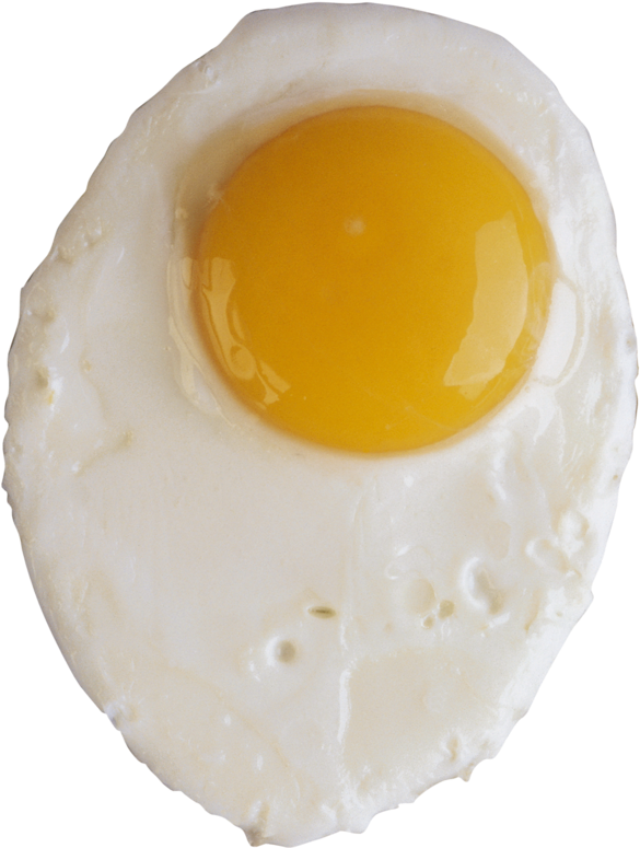 Fried Egg Png 585 X 775