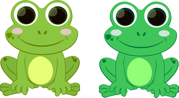 A Green Frog Sitting And A Green Frog Sitting