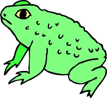 A Green Frog With Black Background