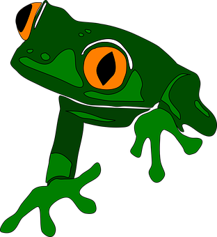 A Green Frog With Orange Eyes
