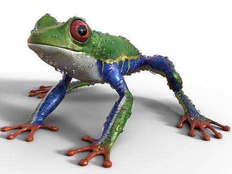 A Frog With Water Drops On Its Body