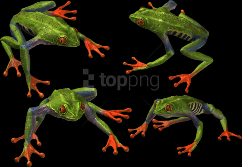 A Collage Of A Frog