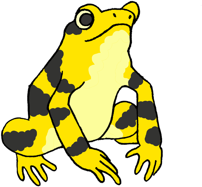 A Yellow And Black Frog