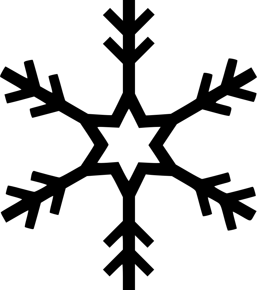 A Black Snowflake With A Star