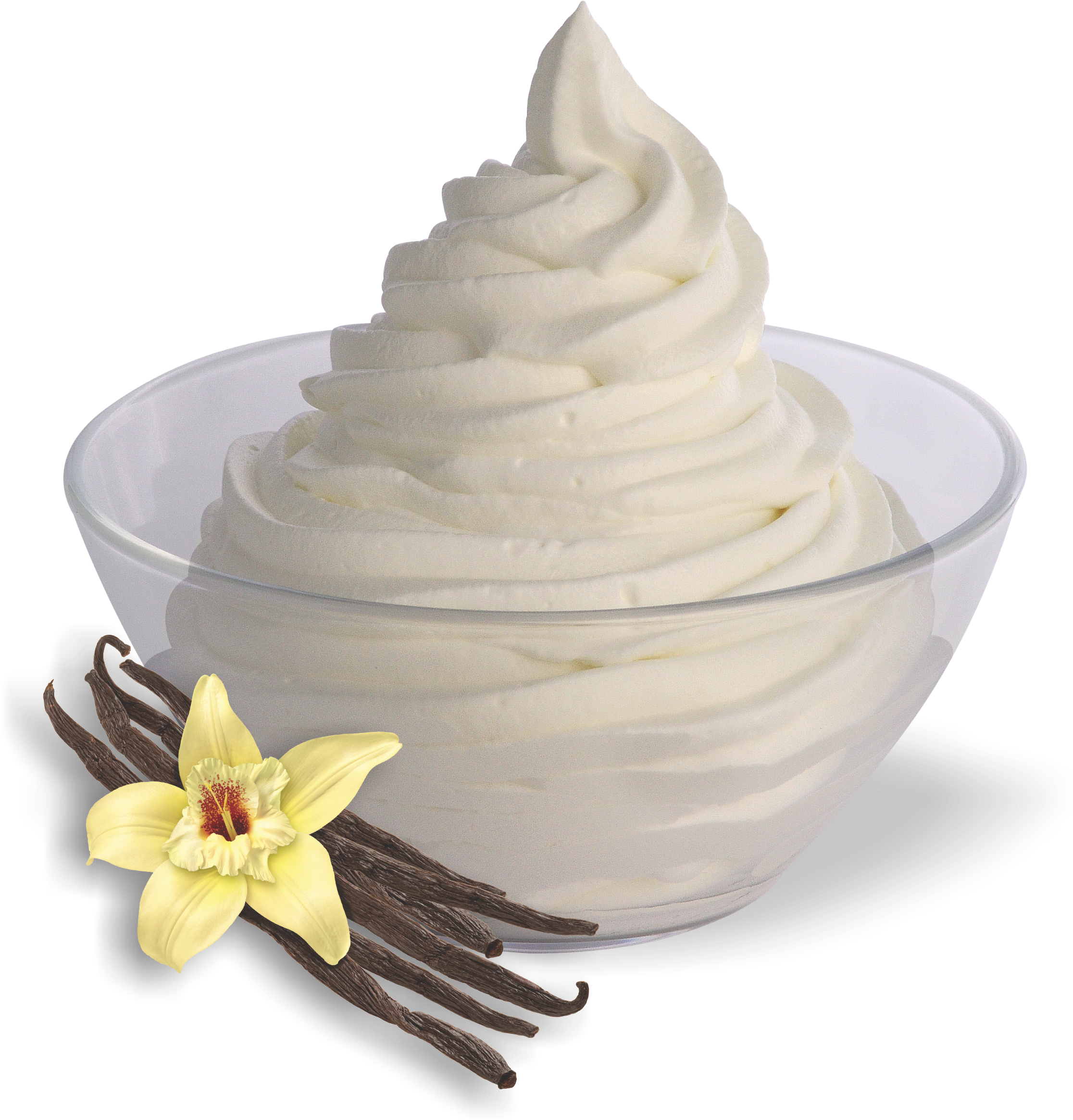 A Bowl Of Vanilla Ice Cream