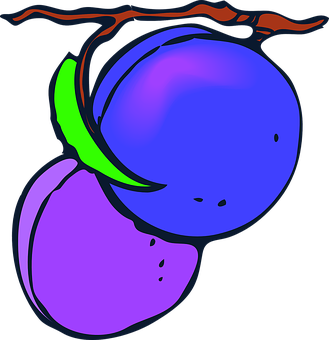 A Blue And Purple Fruit On A Branch