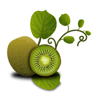 A Kiwi Fruit With Leaves
