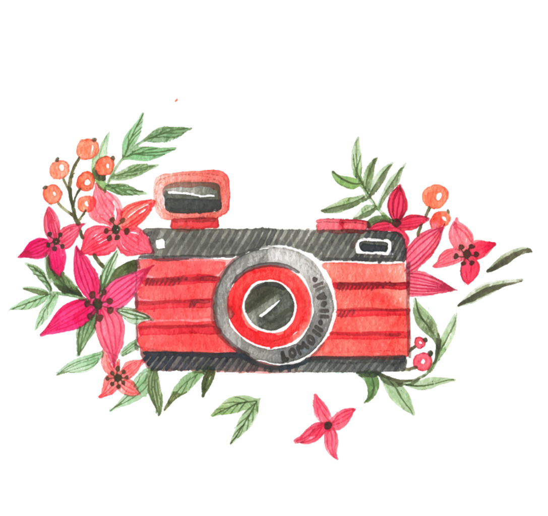 Flowers And Camera Watercolor Background
