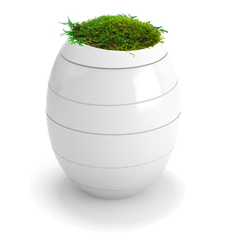 A White Egg Shaped Pot With Grass Growing Out Of It