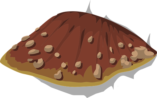 A Cartoon Of A Brown And White Shell