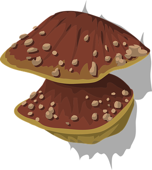 A Brown Mushroom With White Spots