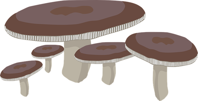 A Group Of Mushrooms With White And Brown Caps