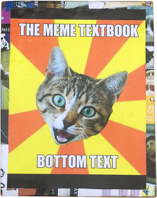 Cat Meme Png