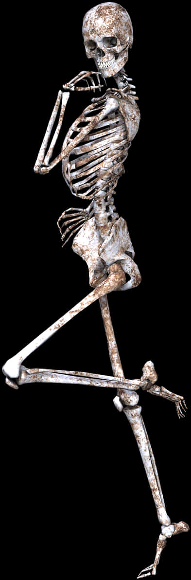 A Skeleton Sitting On A Black Background