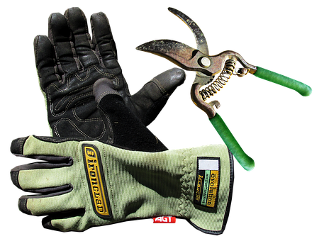 A Pair Of Gloves And A Pair Of Scissors
