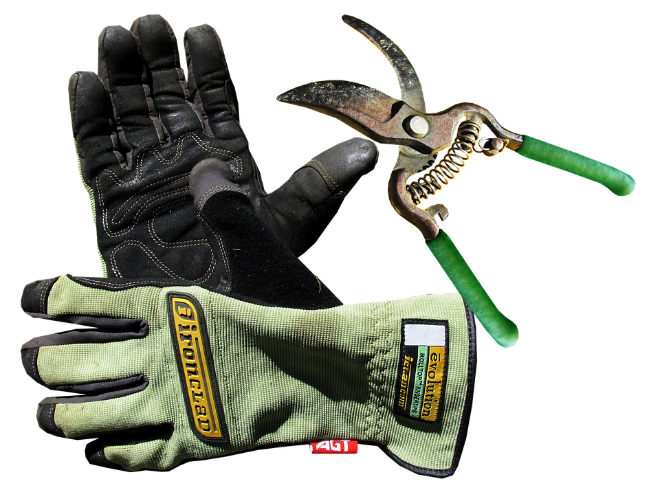 A Pair Of Gloves And Pruner