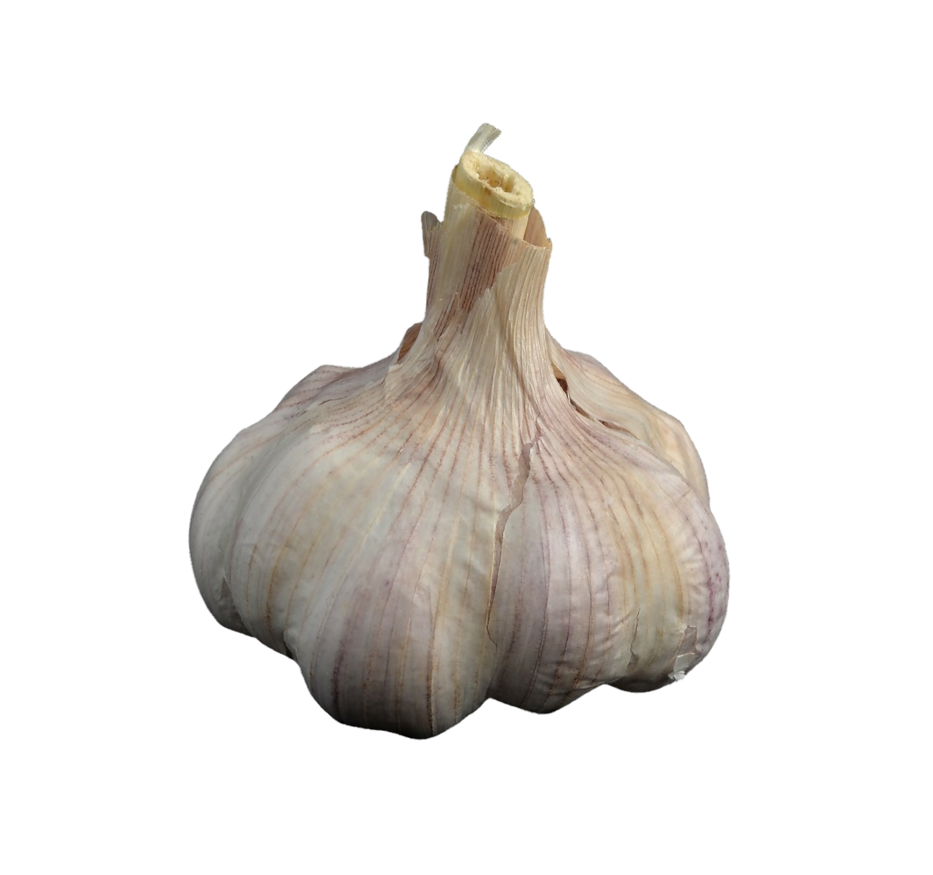 A Garlic Bulb On A Black Background