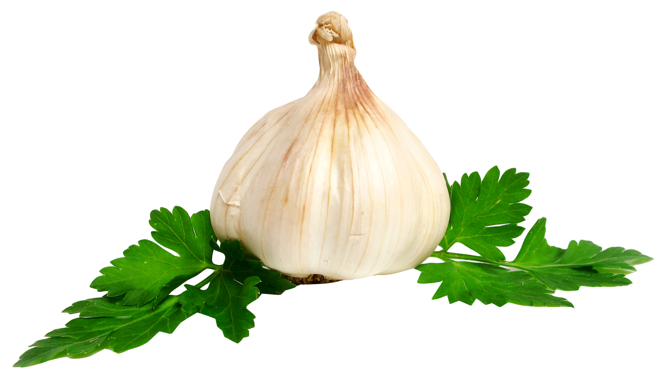 A Garlic Bulb And Leaves
