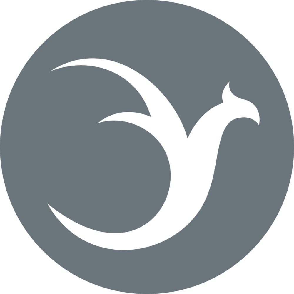 A Black Bird In A Circle