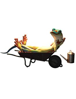 A Lizard In A Wheelbarrow
