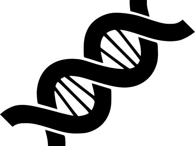 A Black Dna Chain On A Black Background