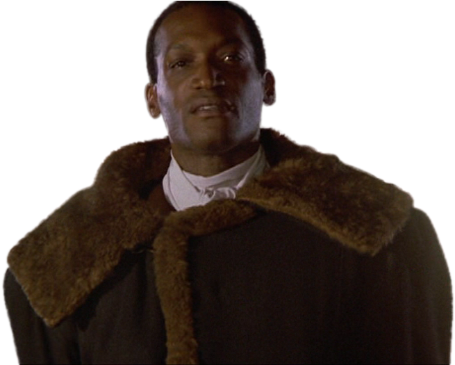 A Man In A Fur Coat