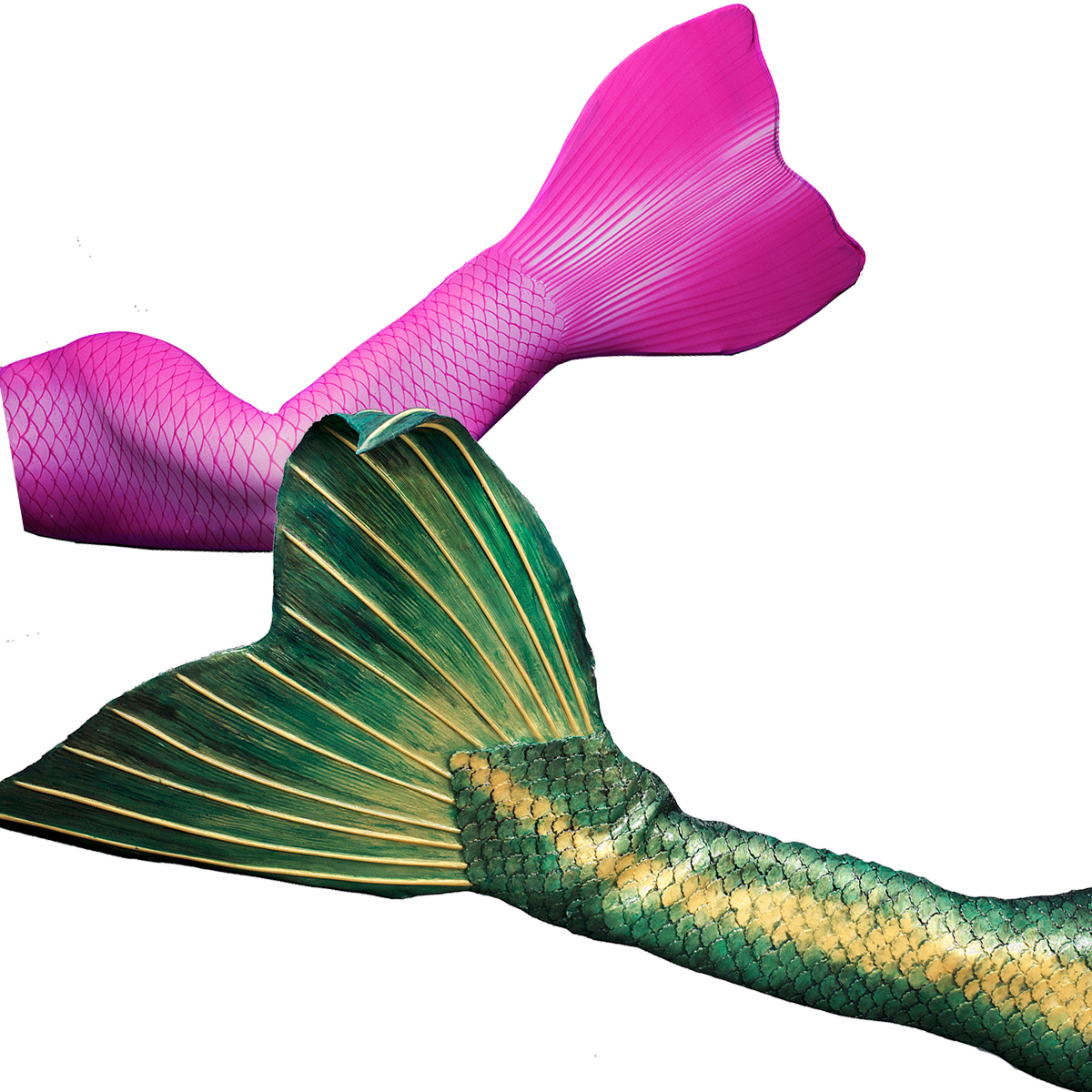 Get Your Professional Fabric Or Silicone Mermaid Tail - Mermaid, Hd Png Download