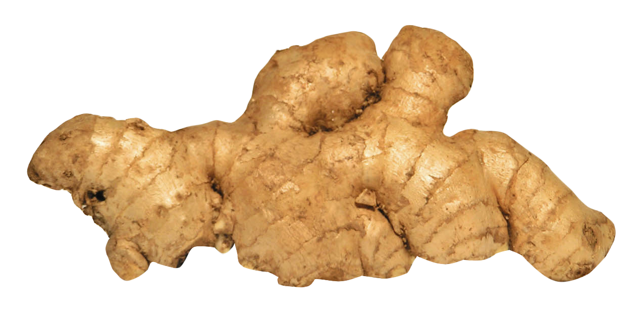 Ginger Png 1274 X 632