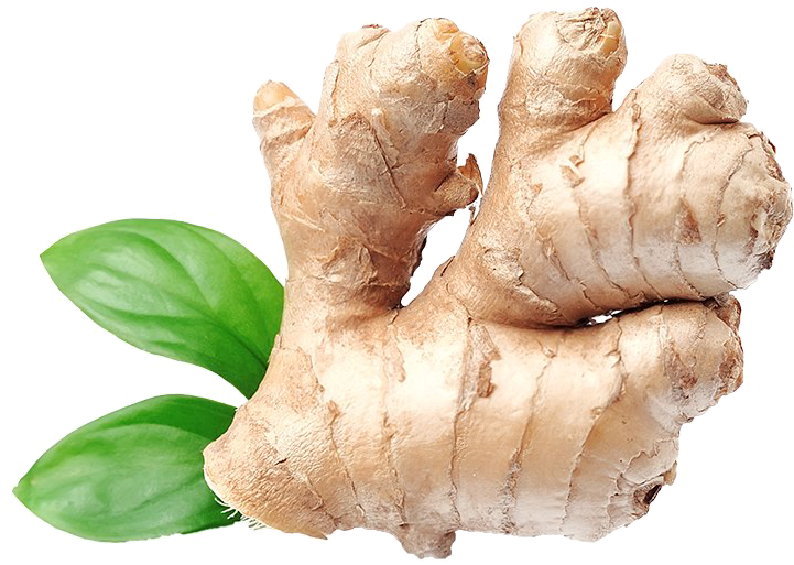A Ginger Root With A Leaf