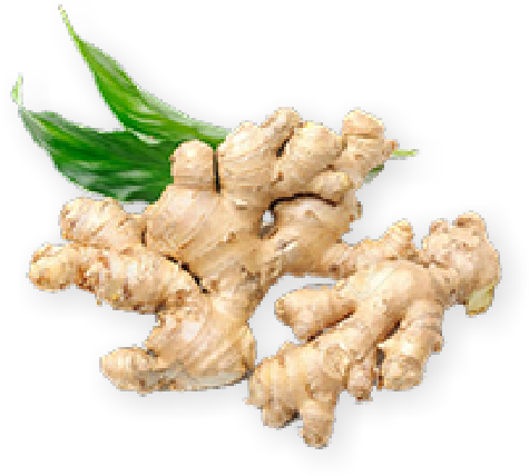 A Ginger Root With Leaves