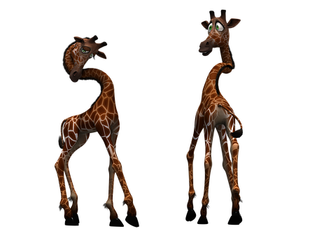 A Giraffes Standing And Standing