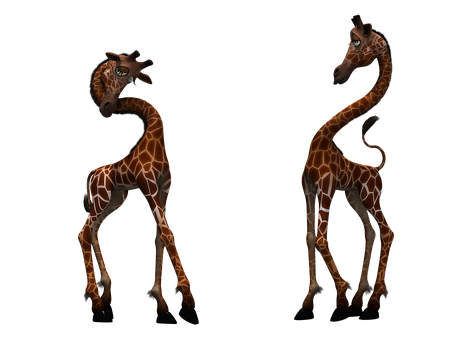 A Giraffes Standing In Front Of A Black Background