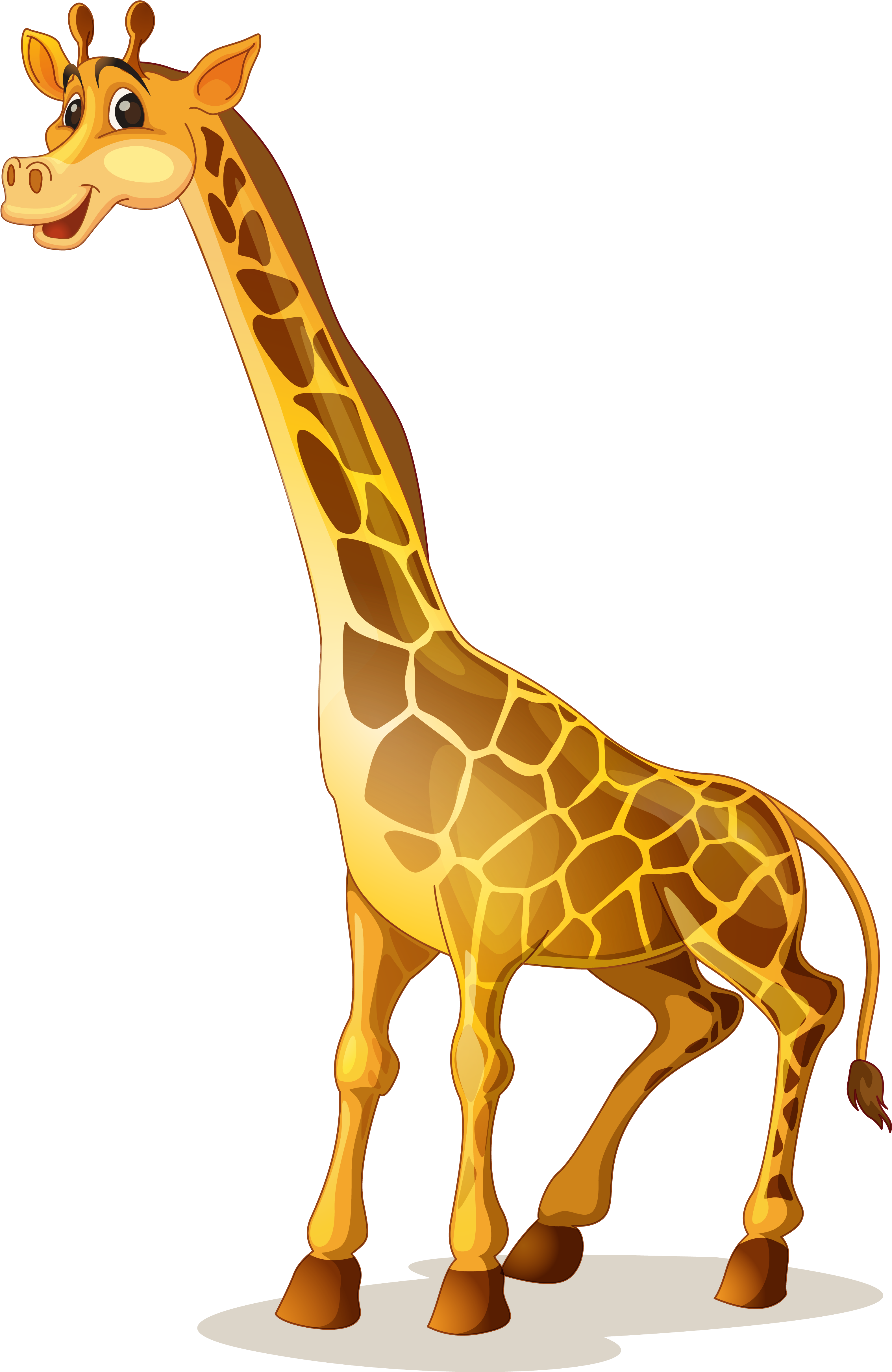 A Giraffe Standing On A Black Background