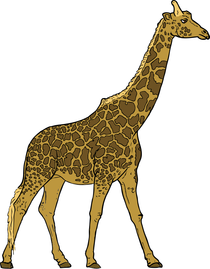 Giraffe - Giraffe Clipart Transparent Background, Hd Png Download