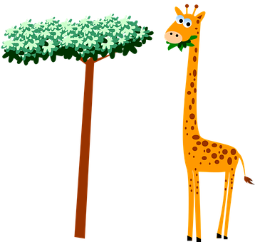 A Giraffe Eating Leaves Next To A Tree