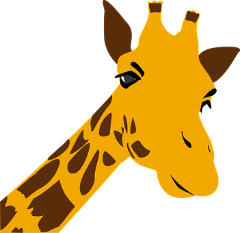 A Giraffe With A Black Background