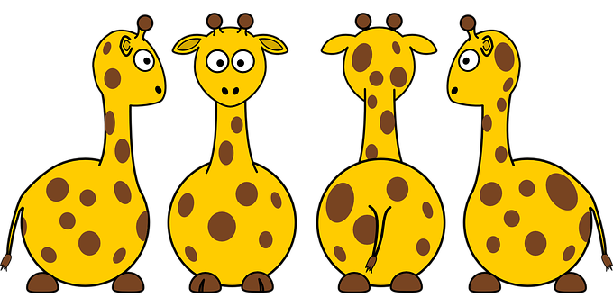 Giraffes Png 680 X 340