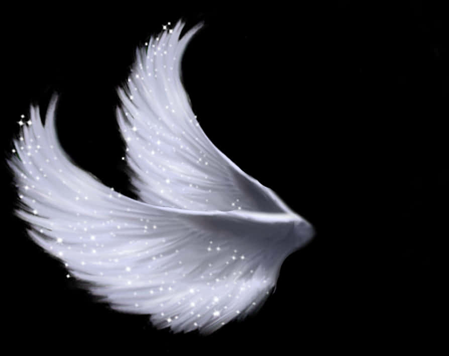A White Wings With Sparkles