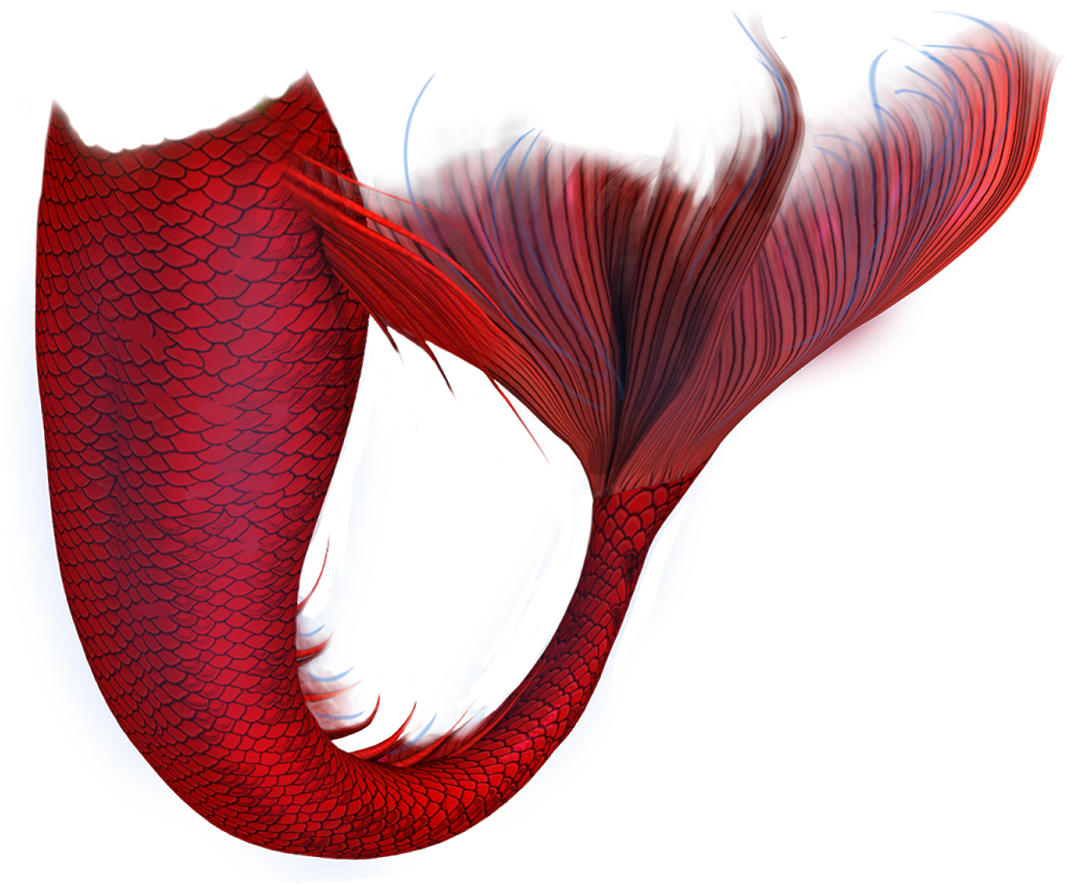 Go To Image - Mermaid Tails Red And Black, Hd Png Download