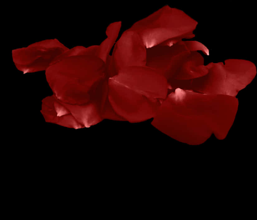 A Group Of Red Petals