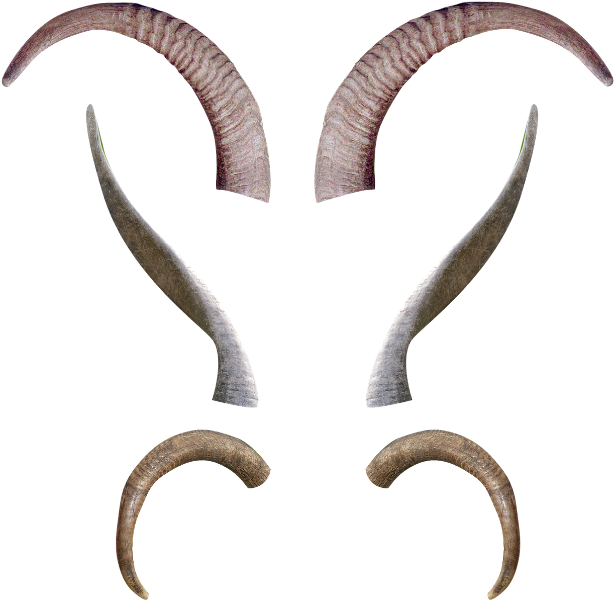 Goat Horns Png 1224 X 1195
