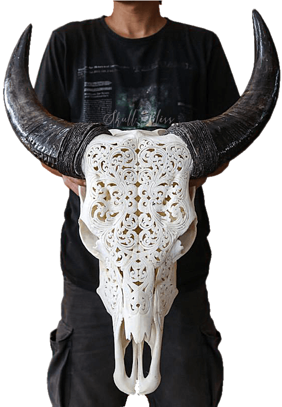 A Person Holding A Skull With Horns
