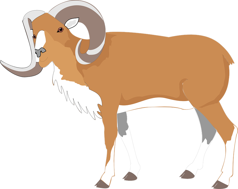 Goat Horns Png 904 X 720
