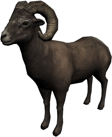 A Brown Ram With Horns