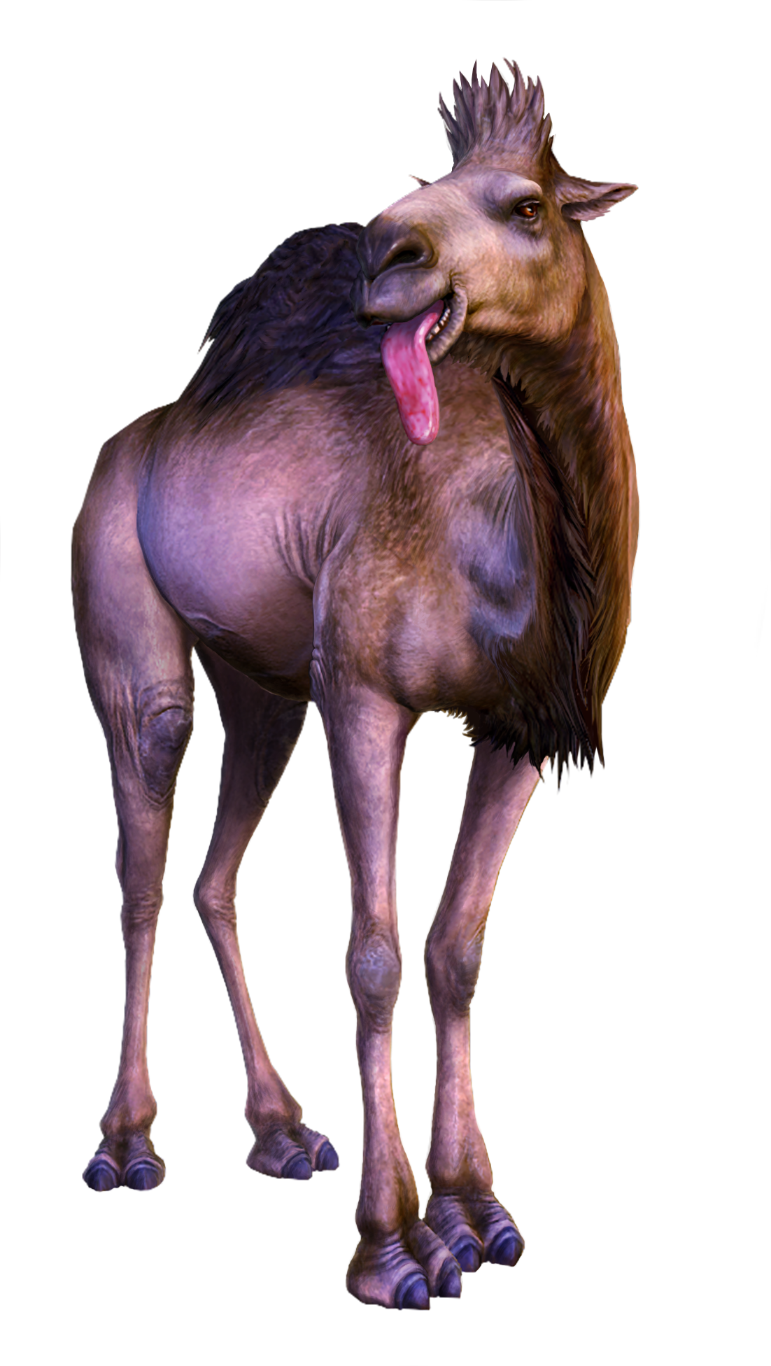 A Camel With Its Tongue Out