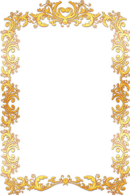 Gold Frame Border Png 533 X 800