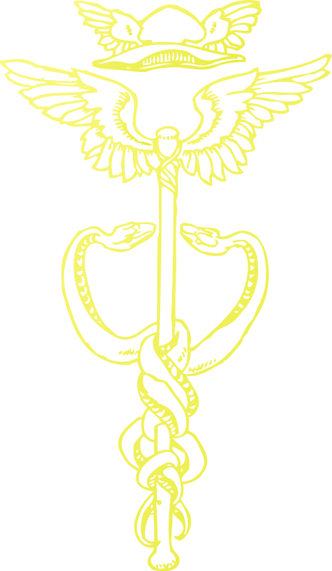 A Yellow Drawing Of A Snake And An Eagle