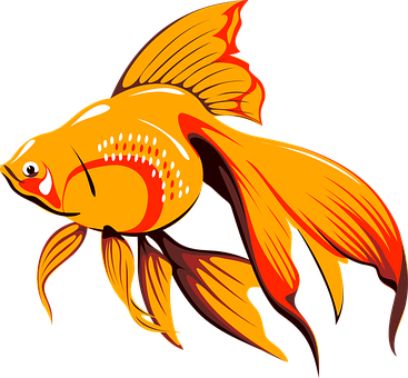 A Gold Fish With Orange And Red Fins