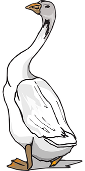 A White Bird With A Long Neck